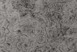 Antique Grey